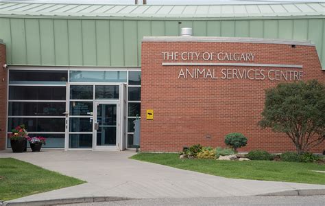 CITY OF CALGARY ANIMAL SERVICES .